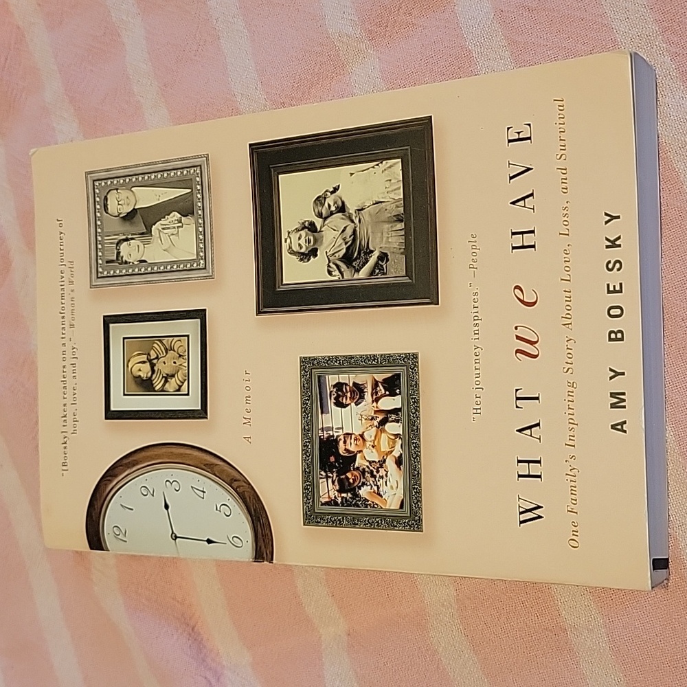 "What We Have" by Amy Boesky